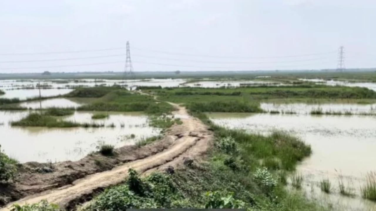 Darbhanga AIIMS Acquired land